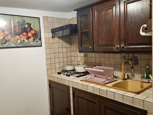 A kitchen or kitchenette at La Dependance delle Mimose