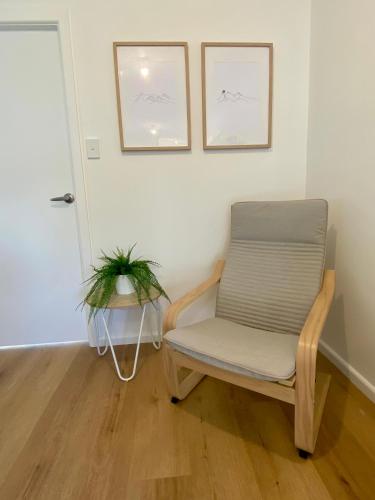 a chair in a room with a plant on a table at Berridale Alpine Retreat in Berridale