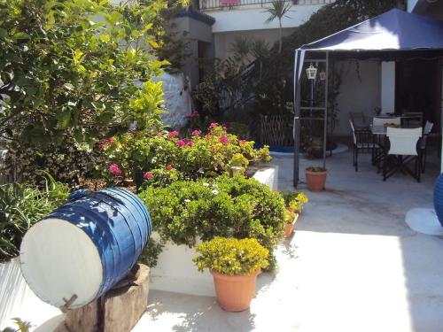 Gallery image of Douskos Uptown Living in Hydra