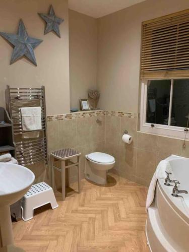 a bathroom with a toilet and a tub and a sink at House on the Green Spacious-Super location in Derby
