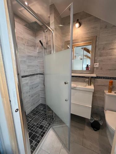 une salle de bain avec une douche, un lavabo et des toilettes dans l'établissement 16 BIS C Les Gîtes Bigoudens, à Plonéour-Lanvern