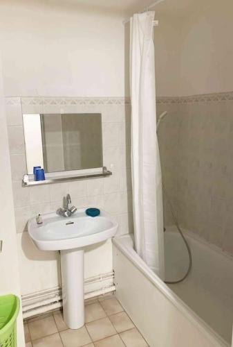 une salle de bain avec lavabo et douche dans l'établissement Studio NEW YORK, à Chambéry
