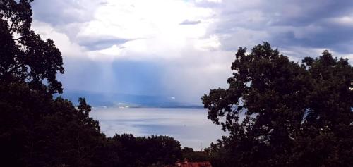 een uitzicht op een waterlichaam tussen twee bomen bij Villa AveKalu in Opric