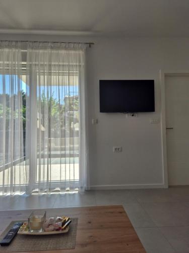 TV a/nebo společenská místnost v ubytování Apartment Nikol Orebić