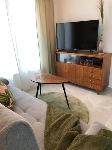 TV a/nebo společenská místnost v ubytování Appartment SPATZENNEST