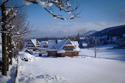 L'établissement Mountain View Apartment by Tyzenhauz en hiver