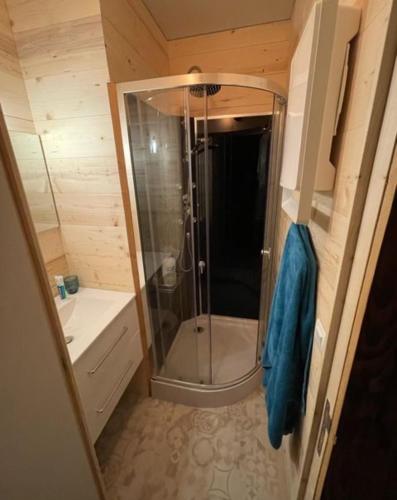 La petite salle de bains est pourvue d'une douche et d'un lavabo. dans l'établissement Duplex Les Plautus 2 - Orcières-Merlette - Appt vue montagne, à Orcières