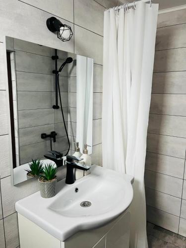 a bathroom with a white sink and a mirror at Casa Dumitru in 2 Mai
