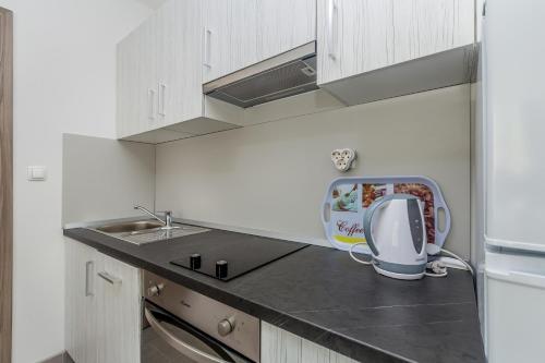 a kitchen with a sink and a appliance on a counter at Apartmani Tena in Njivice