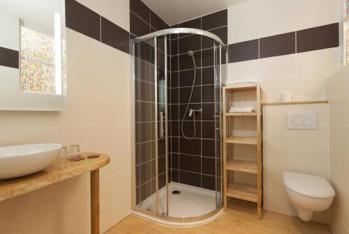 ル・ブール・ドアザンにあるHotel Des Alpesのバスルーム(シャワー、トイレ、洗面台付)
