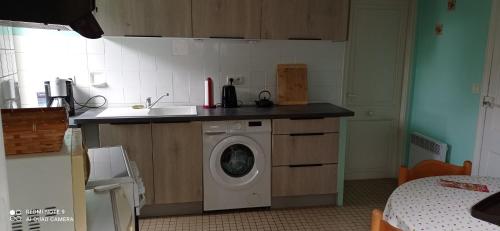 une cuisine avec une machine à laver et un évier dans l'établissement Appart' bucolique en plein centre ville, à Condom