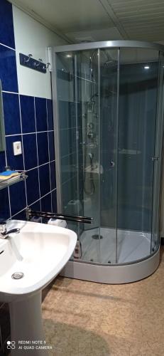une salle de bain avec douche et lavabo dans l'établissement Appart' bucolique en plein centre ville, à Condom