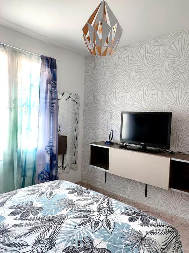 a bedroom with a bed and a flat screen tv at Petit cocon in Fos-sur-Mer