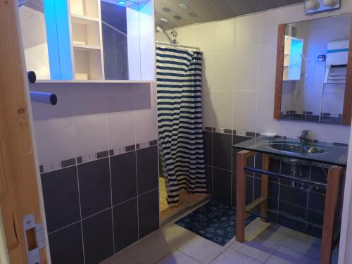 une salle de bain avec un lavabo et une douche dans l'établissement Maison au calme, à Saint-Michel-en-lʼHerm
