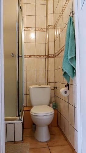 a bathroom with a toilet and a shower and a towel at Dom Pod Gruszą in Chmielno