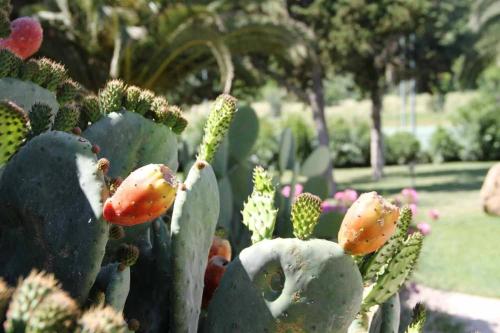 Giardino di Alghero Resort Country Hotel & Spa