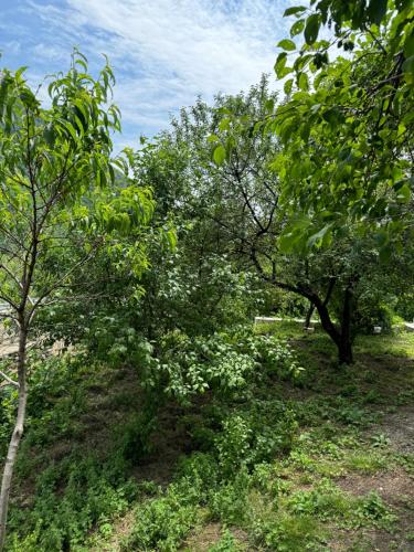 Φωτογραφία από το άλμπουμ του Holiday home σε Kiş