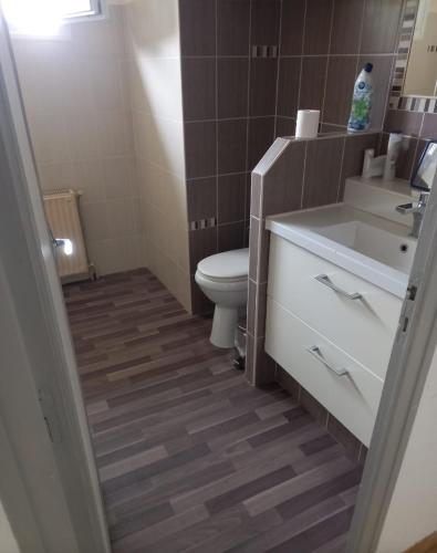 une salle de bain avec toilettes et lavabo dans l'établissement Location saisonnière par nuitée, à Duran