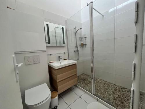 une salle de bain avec toilettes, lavabo et douche dans l'établissement Maison sur la plage front de mer, à Palavas-les-Flots