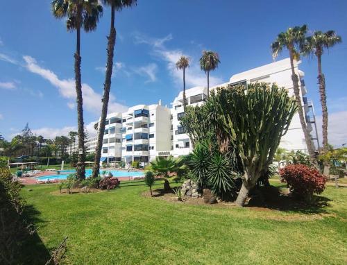 Step To Yumbo by CASAS COCODRILO