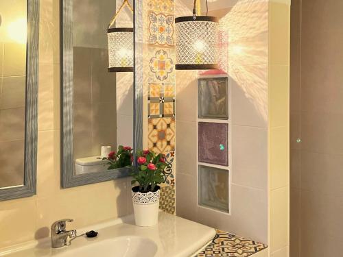 米納斯日聖多明戈斯的住宿－加勒加蒙特休閒農業觀光旅館，一间带水槽和镜子的浴室