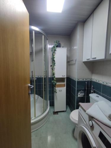 a bathroom with a shower and a toilet in it at Merkur Lux in Budva
