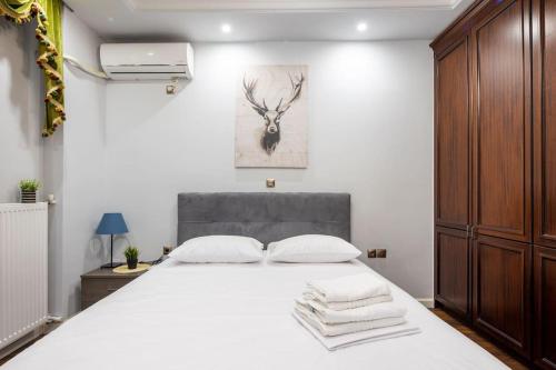 Majestic and spacious apartment near Acropolis