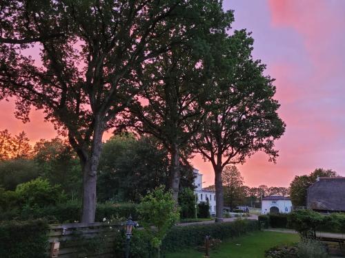 Foto dalla galleria di Op Het Goede Pad a Veenhuizen