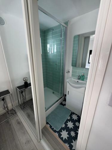 a bathroom with a shower and a toilet and a sink at Weston Studio in Lucan