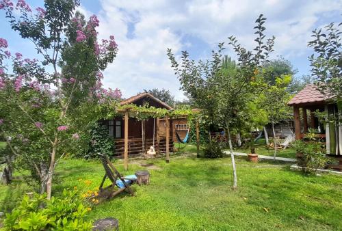 Zahrada ubytování Tiny houses Genacvale