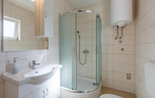 a bathroom with a shower and a sink at Awesome Home In Segotici in Šegotići