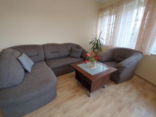 Χώρος καθιστικού στο A Tranquil Oasis, Lakeview Home in Lapes Kaunas