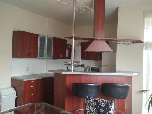 Η κουζίνα ή μικρή κουζίνα στο A Tranquil Oasis, Lakeview Home in Lapes Kaunas
