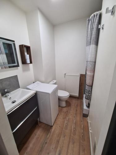 une salle de bain avec toilettes et lavabo dans l'établissement Studio Aix centre ville à pied avec stationnement, à Aix-en-Provence