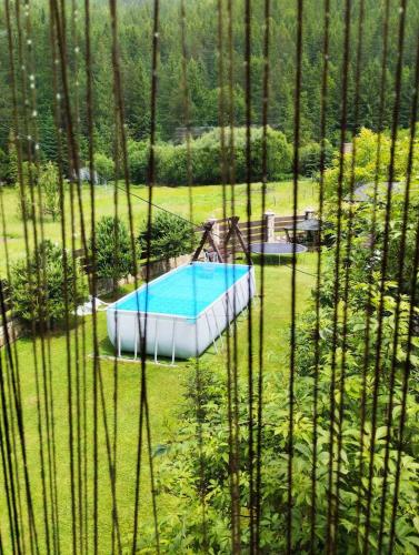 a pool in the middle of a field of grass at Шум лісу in Tatariv