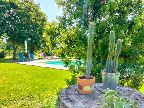 Un jardín fuera de L'ESCALE DE BEL AIR Chambres d'hôtes