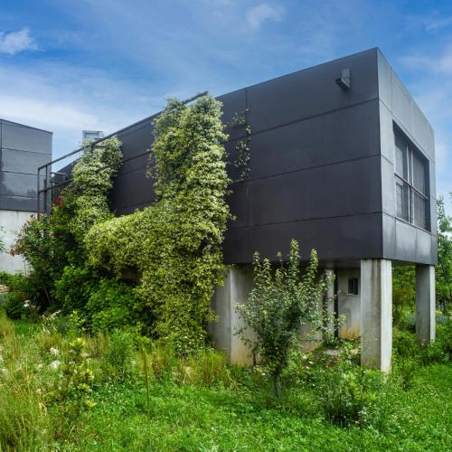 Φωτογραφία από το άλμπουμ του Narköy Ecologic Hotel & Organic Farm σε Κοτζάελι