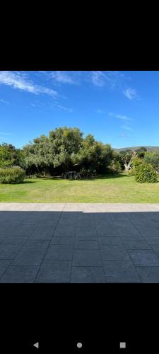 a view of a park with a field and trees at Playa de Seiruga in Malpica