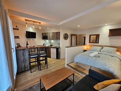 a bedroom with a bed and a living room and a kitchen at Le 19 #Terrasse#Parking in Clermont-Ferrand