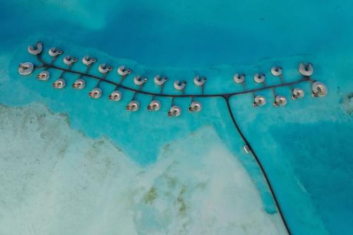 a group of birds sitting on a string in the water at The St. Regis Red Sea Resort in Ḩanak