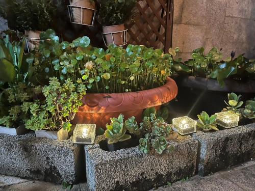 Jardín al aire libre en 珠山官邸-金門古厝民宿
