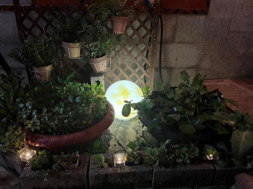 Jardín al aire libre en 珠山官邸-金門古厝民宿