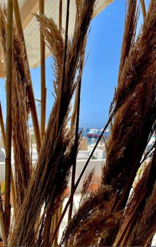Φωτογραφία από το άλμπουμ του Bellissimo apartment Naxos στη Νάξο Χώρα