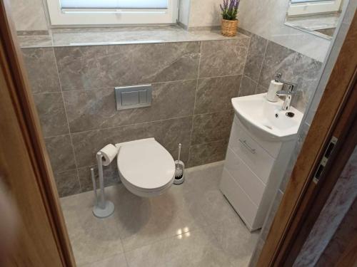 a bathroom with a toilet and a sink at Domki u seseta in Kluszkowce