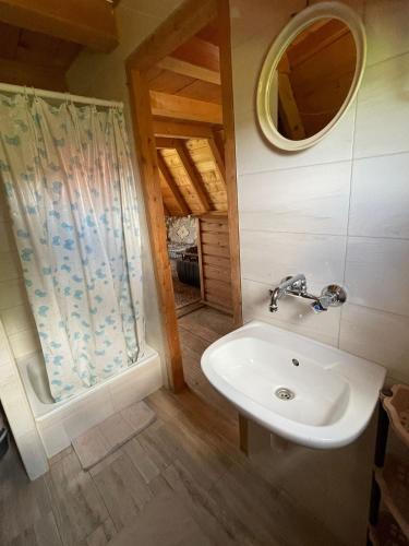 a bathroom with a sink and a mirror at Domek nad Solinką l in Wołkowyja