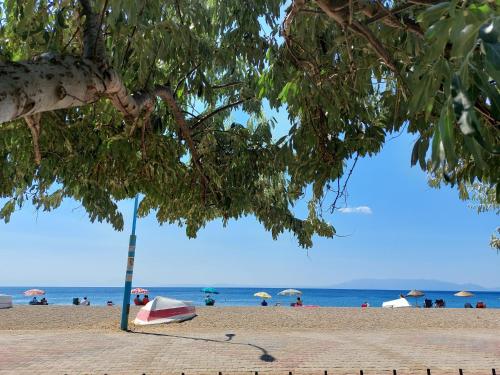 Φυσικό τοπίο κοντά σε αυτό το ξενοδοχείο διαμερισμάτων