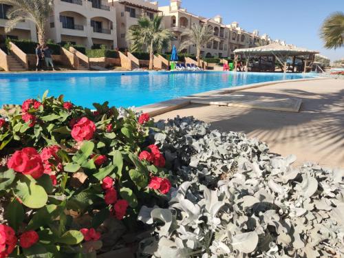 a garden of roses in front of a swimming pool at Lasirina palm beach for families only in Ain Sokhna