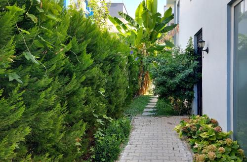 Κήπος έξω από το Palmiyem Apart Otel