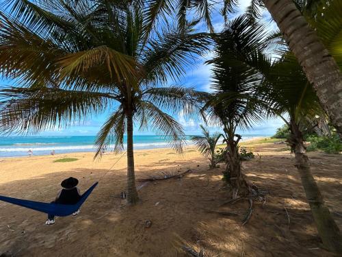 a person sitting in a hammock under a palm tree on a beach at Luquillo Beach & Ocean Fresh in Luquillo