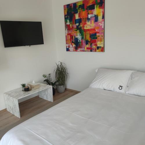 a bedroom with a bed and a tv on a wall at Apartment Emili in Poljica
